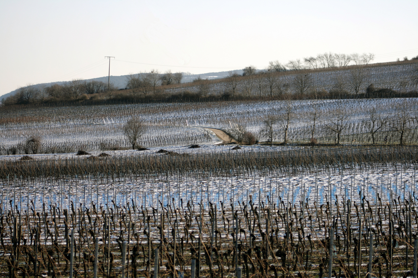 Winterwanderung