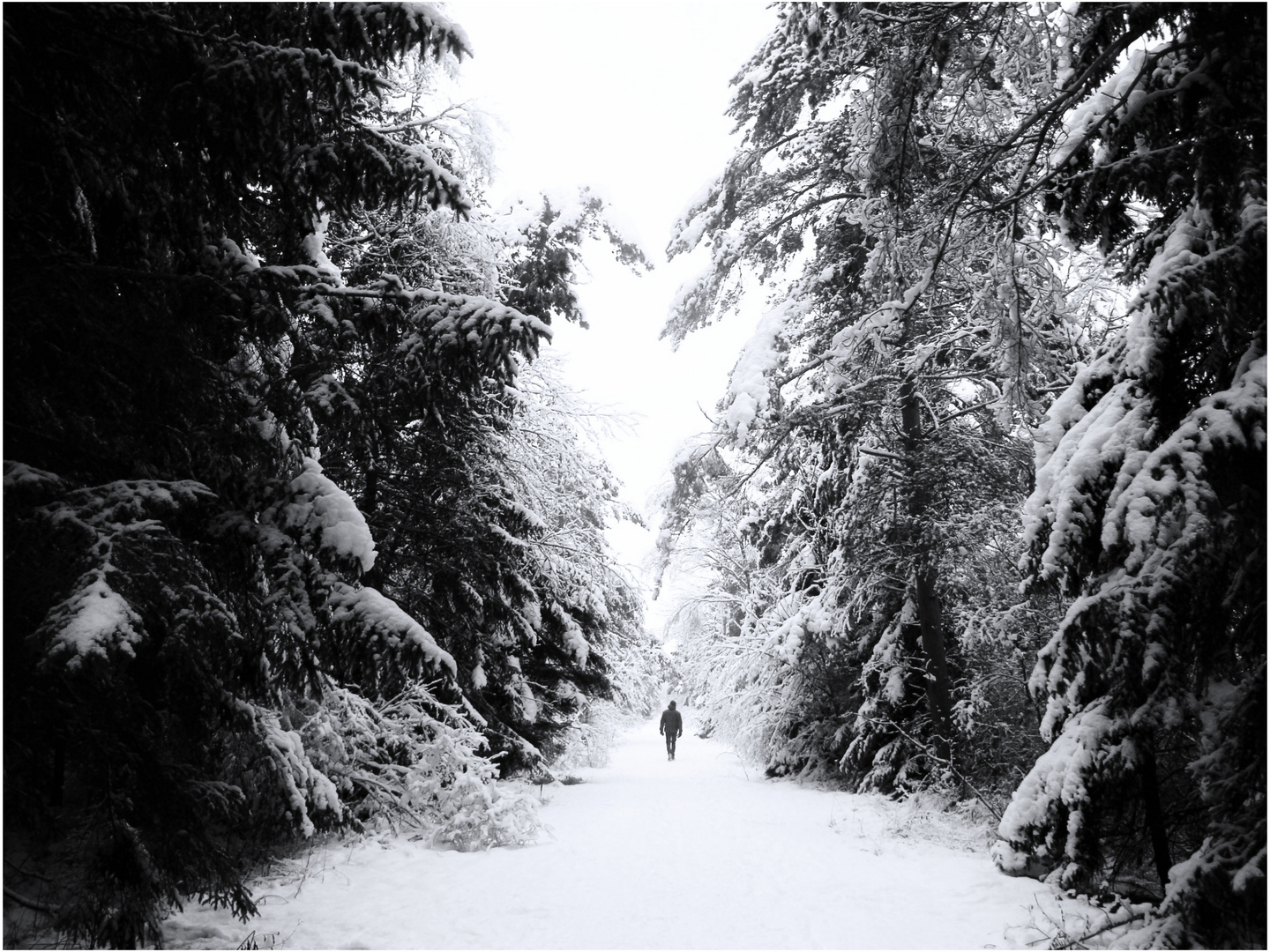 ^ winterwanderung ^