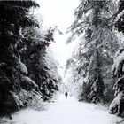 ^ winterwanderung ^