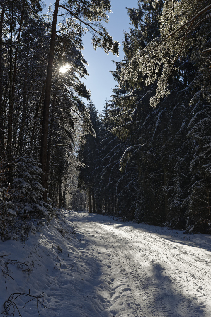 Winterwanderung