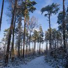 Winterwanderung