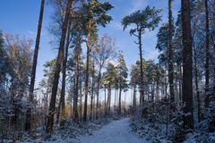 Winterwanderung