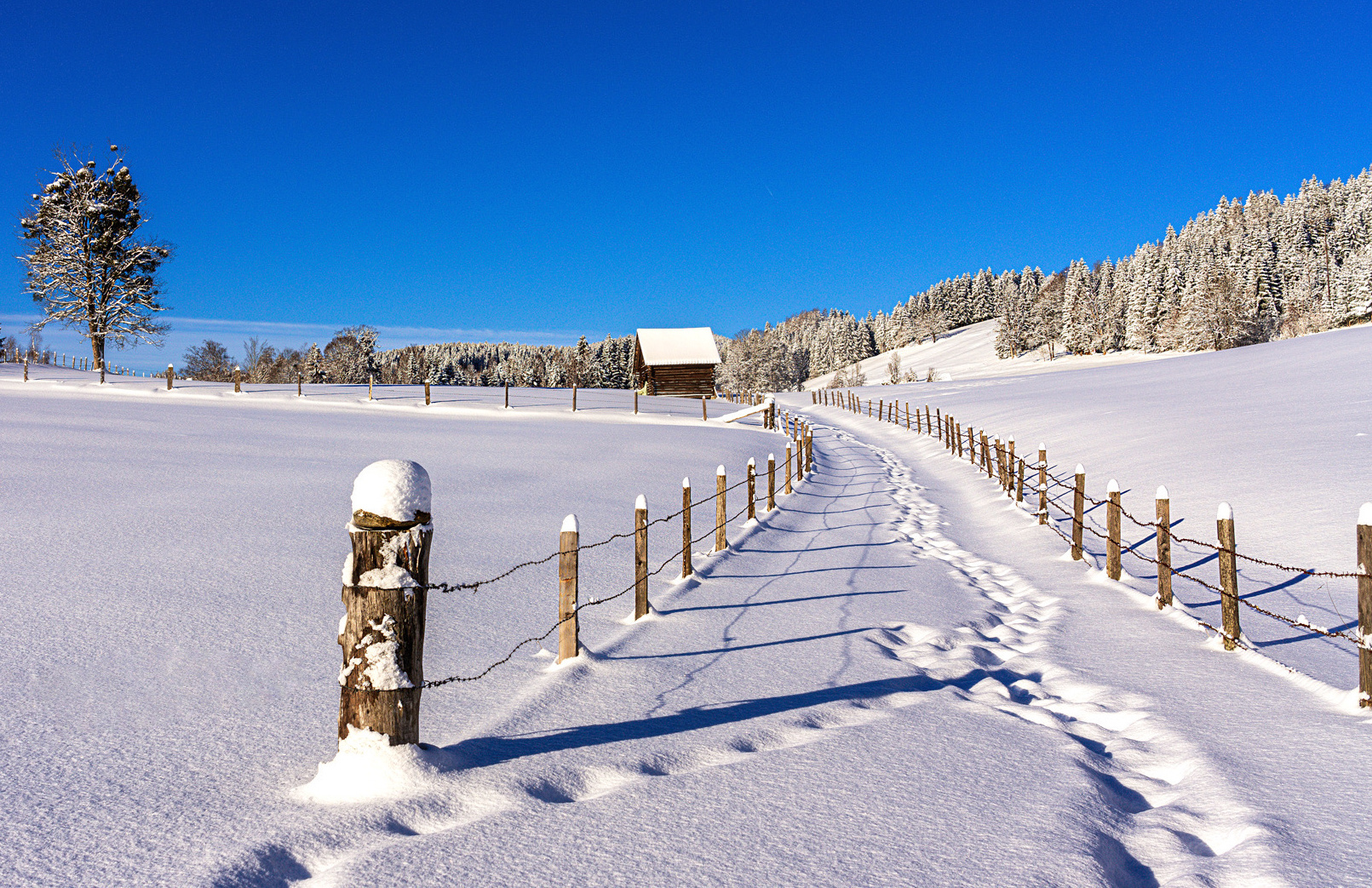 Winterwanderung