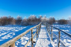 Winterwanderung im Hohen Venn