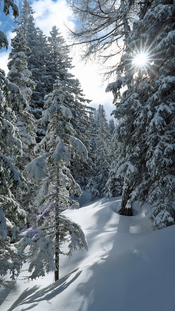 Winterwanderung im März