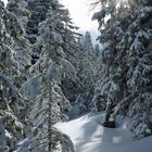 Winterwanderung im März