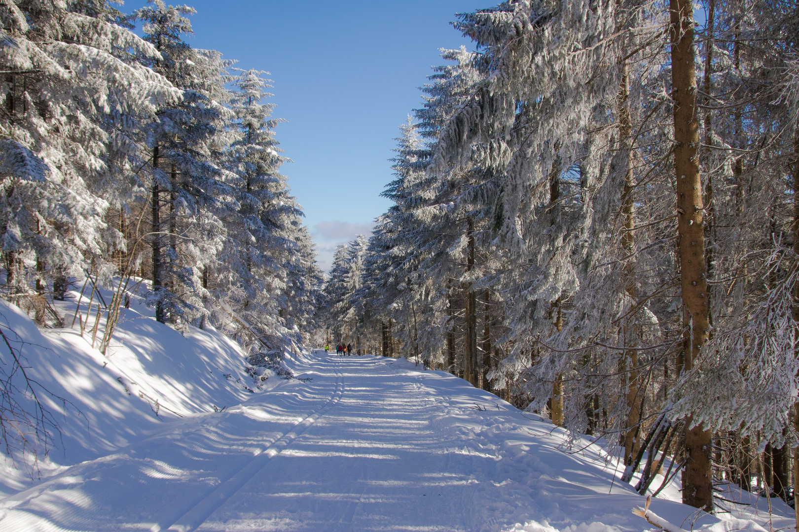 Winterwanderung im Schwarzwald