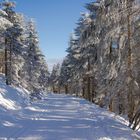 Winterwanderung im Schwarzwald