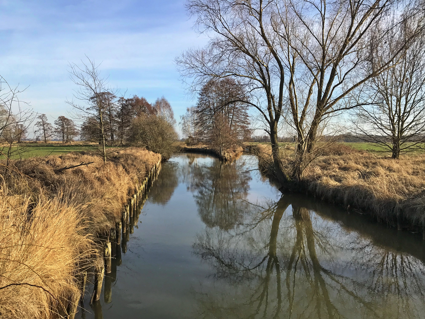 Winterwanderung im Spreewald