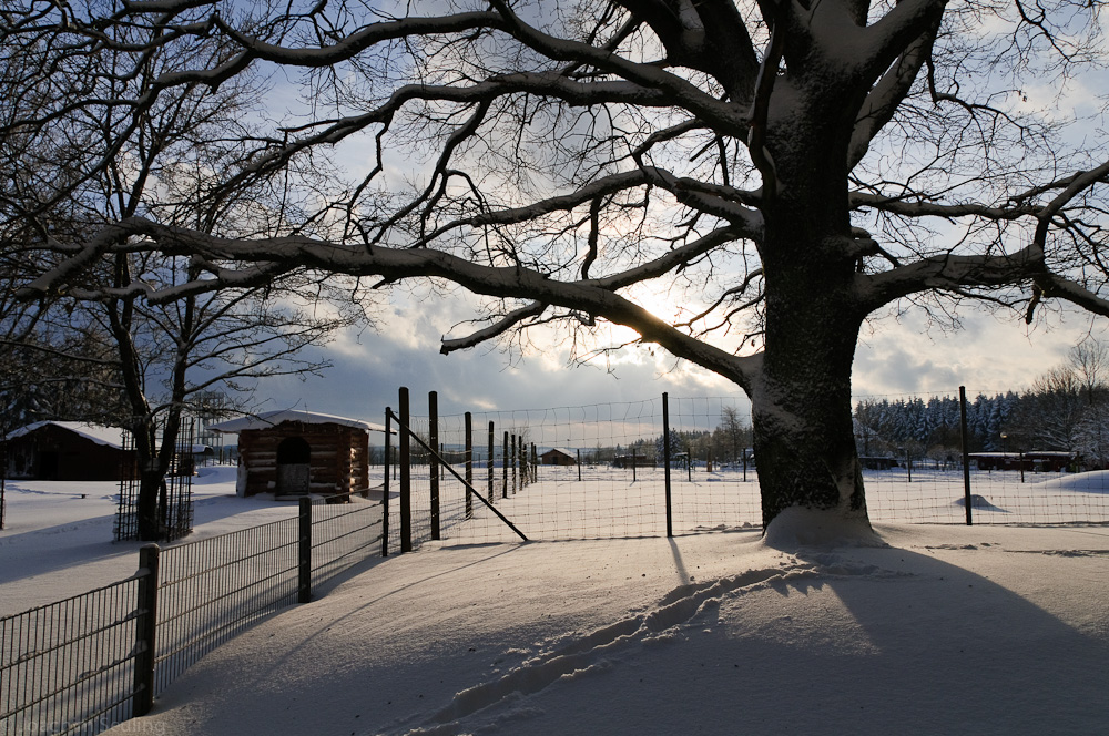 Winterwanderung im Westerwald