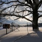 Winterwanderung im Westerwald