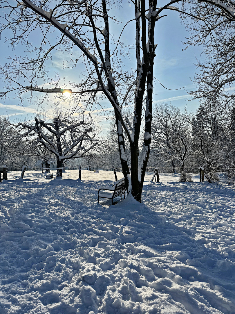 Winterwanderung in Bergisch Gladbach