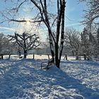 Winterwanderung in Bergisch Gladbach