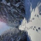 Winterwanderung  in der Lüneburger Heide