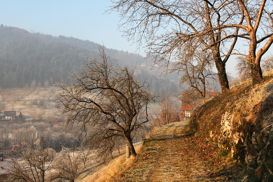 Winterwanderung in Ottenhöfen