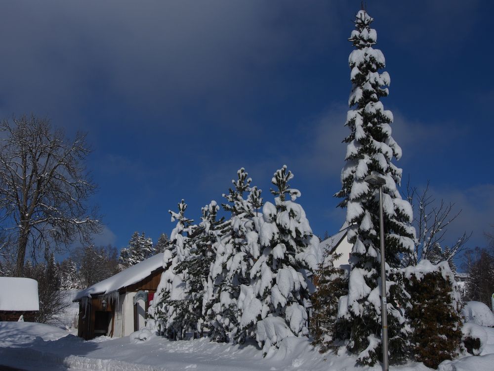 Winterwanderung Kniebis 2