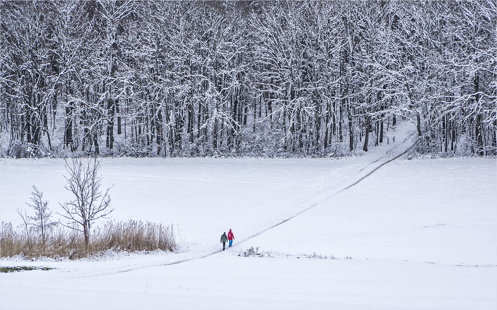 winterwanderung- ohne störenfried