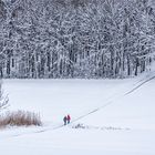 winterwanderung- ohne störenfried