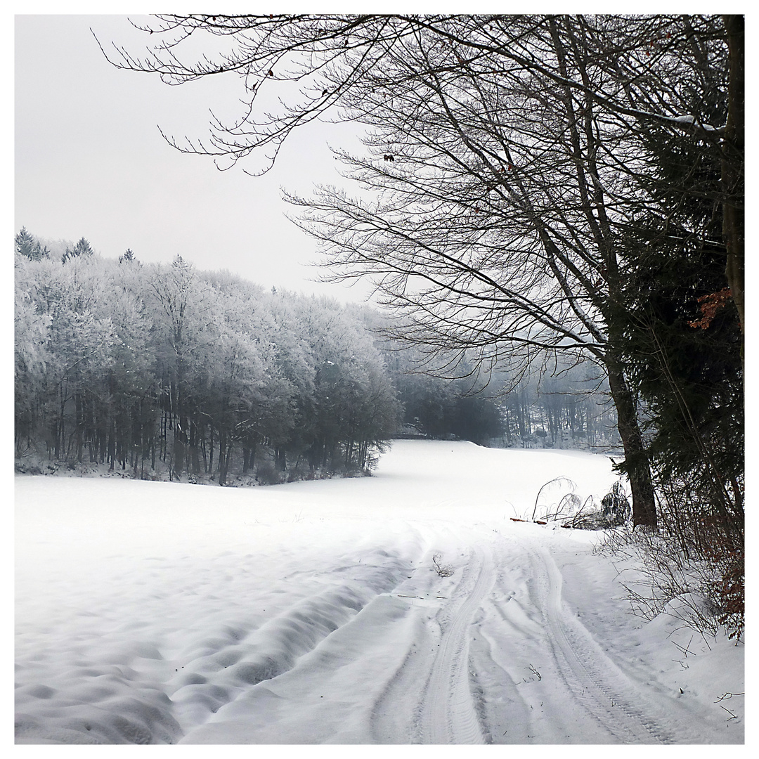 WinterWanderung rund um ...