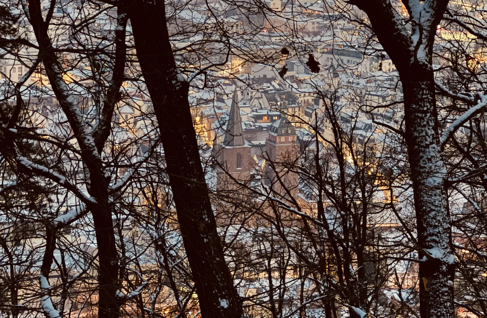 Winterwanderung zum Bergstein (Pfalz)