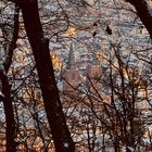 Winterwanderung zum Bergstein (Pfalz)