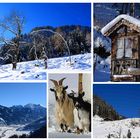 Winterwanderung zur Hubalm in Dorfgastein