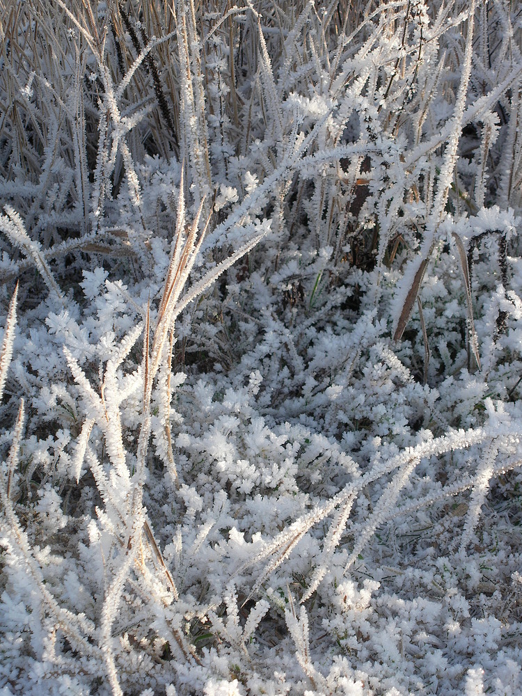 Winterwanderungen