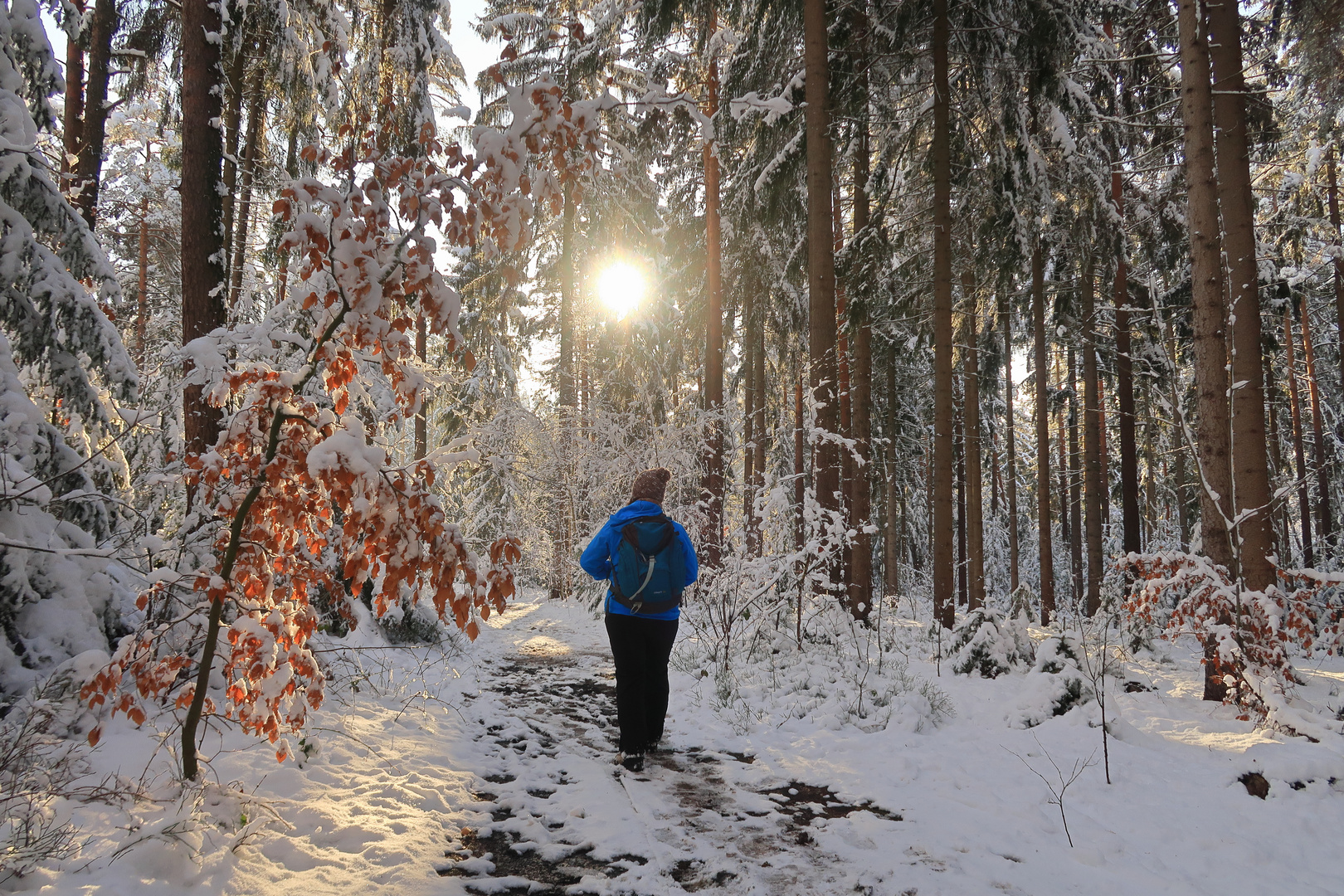 Winterwanderungsblick