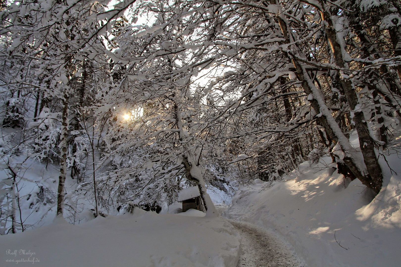 Winterwanderwaldweg