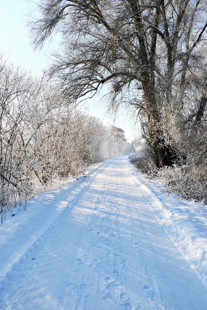 Winterwanderweg