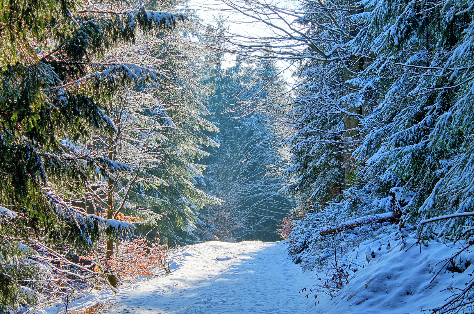 Winterwanderweg