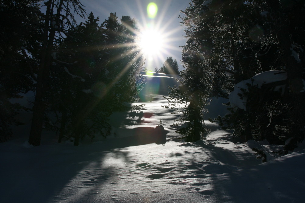 Winterwanderweg am Ofenpass