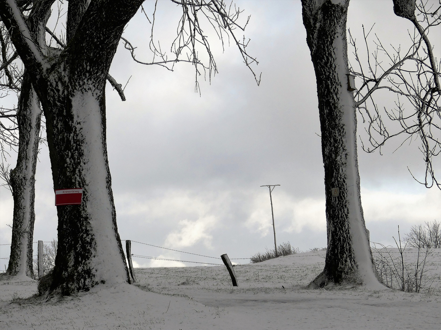 WINTERWANDERWEG