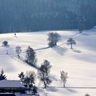 Winterwanderweg