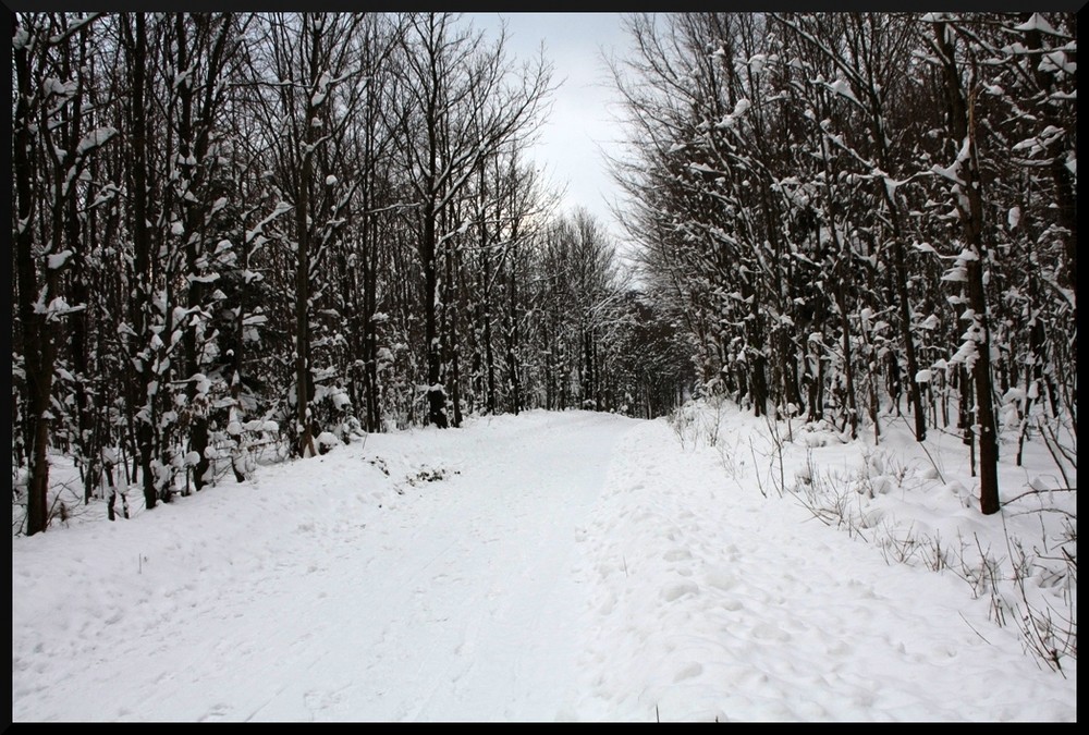 Winterwanderweg....