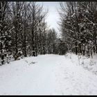 Winterwanderweg....