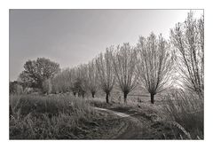 Winterwanderweg