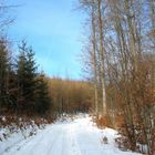 Winterwanderweg nach Dreissigacker