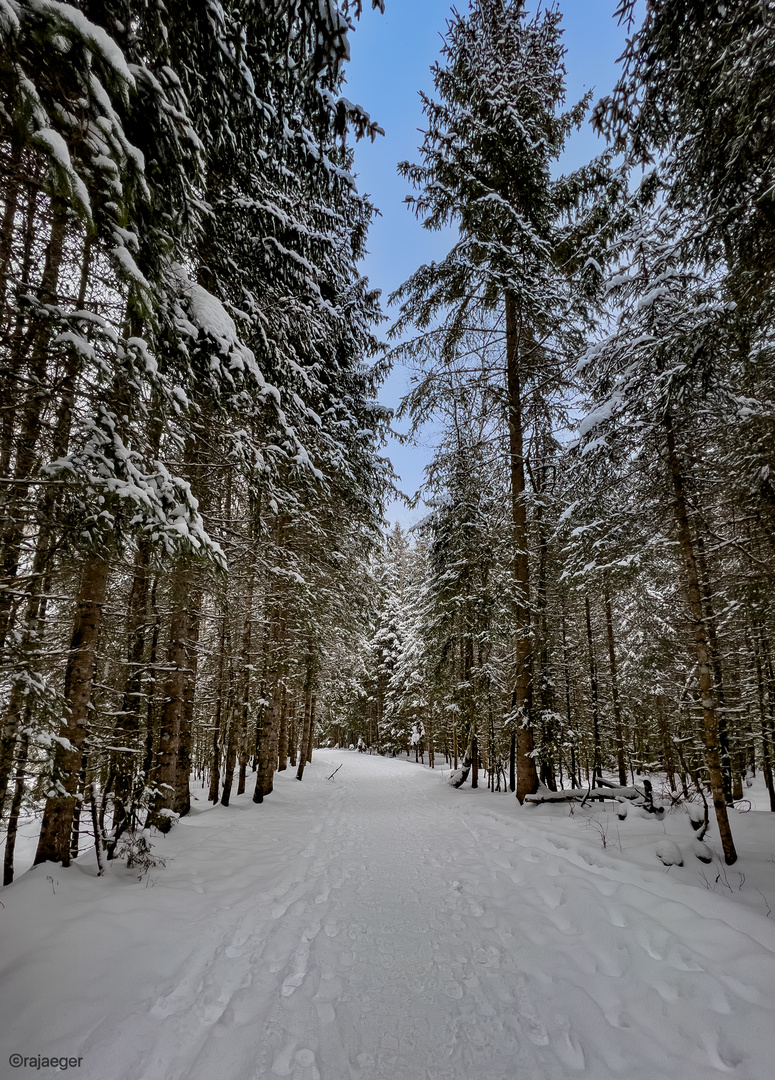 Winterwanderweg nach Neuschnee