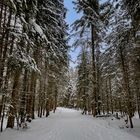 Winterwanderweg nach Neuschnee