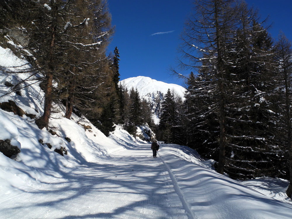 Winterwanderweg zur Rhonequelle