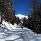 Winterwanderweg zur Rhonequelle