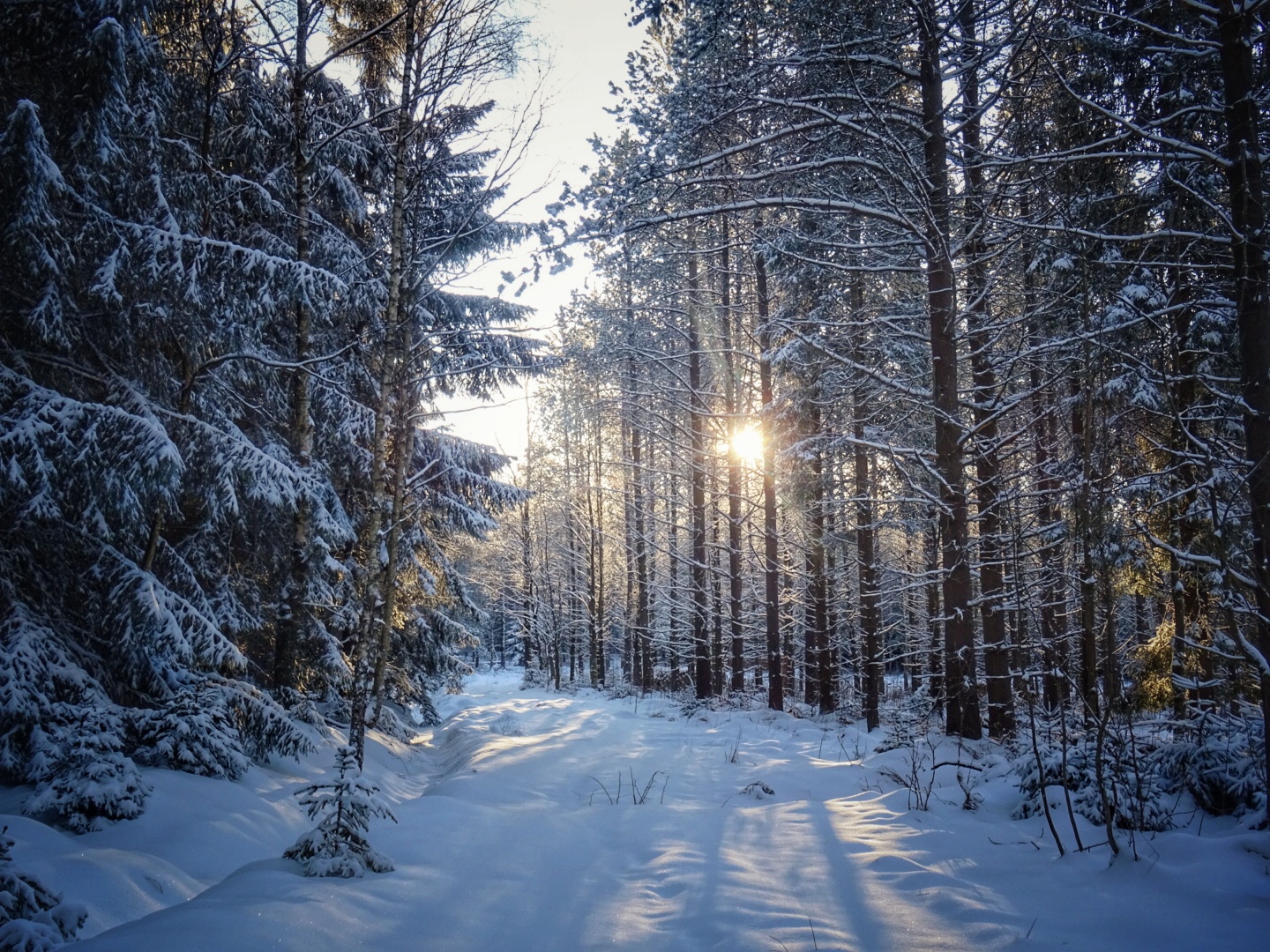 WINTERWANDERWETTER