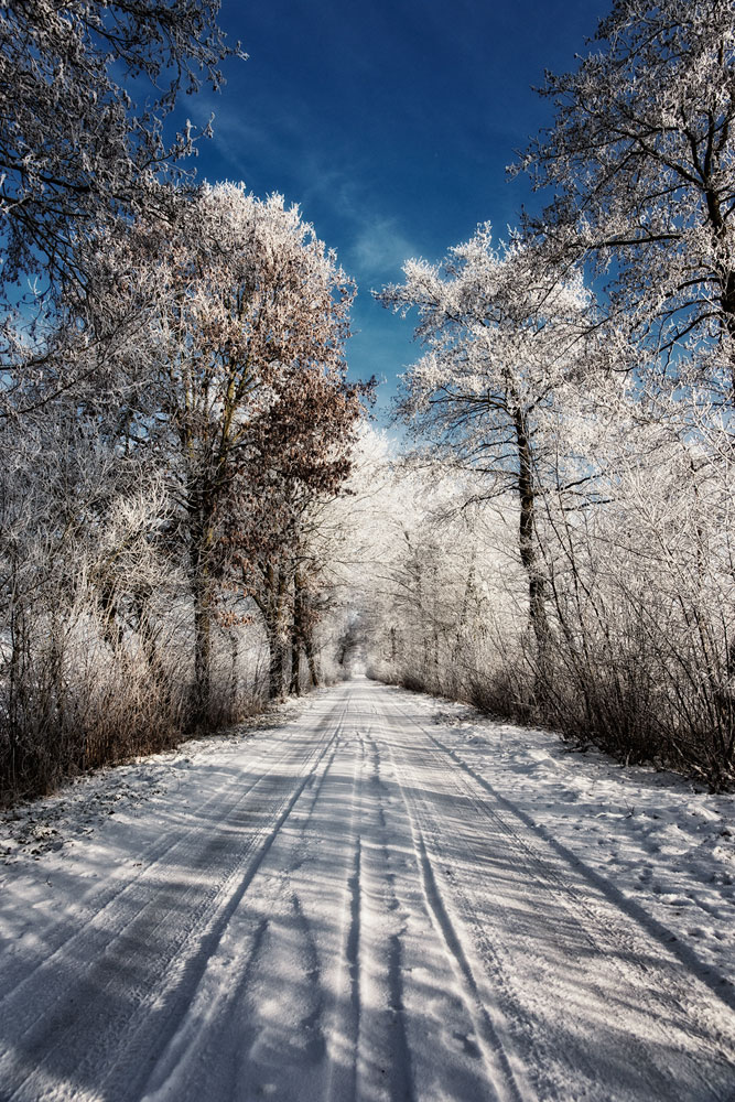 Winterweg