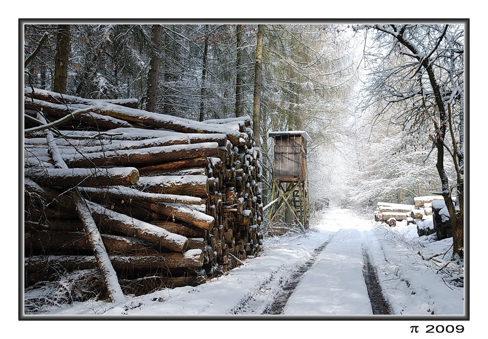 ~ Winterweg ~