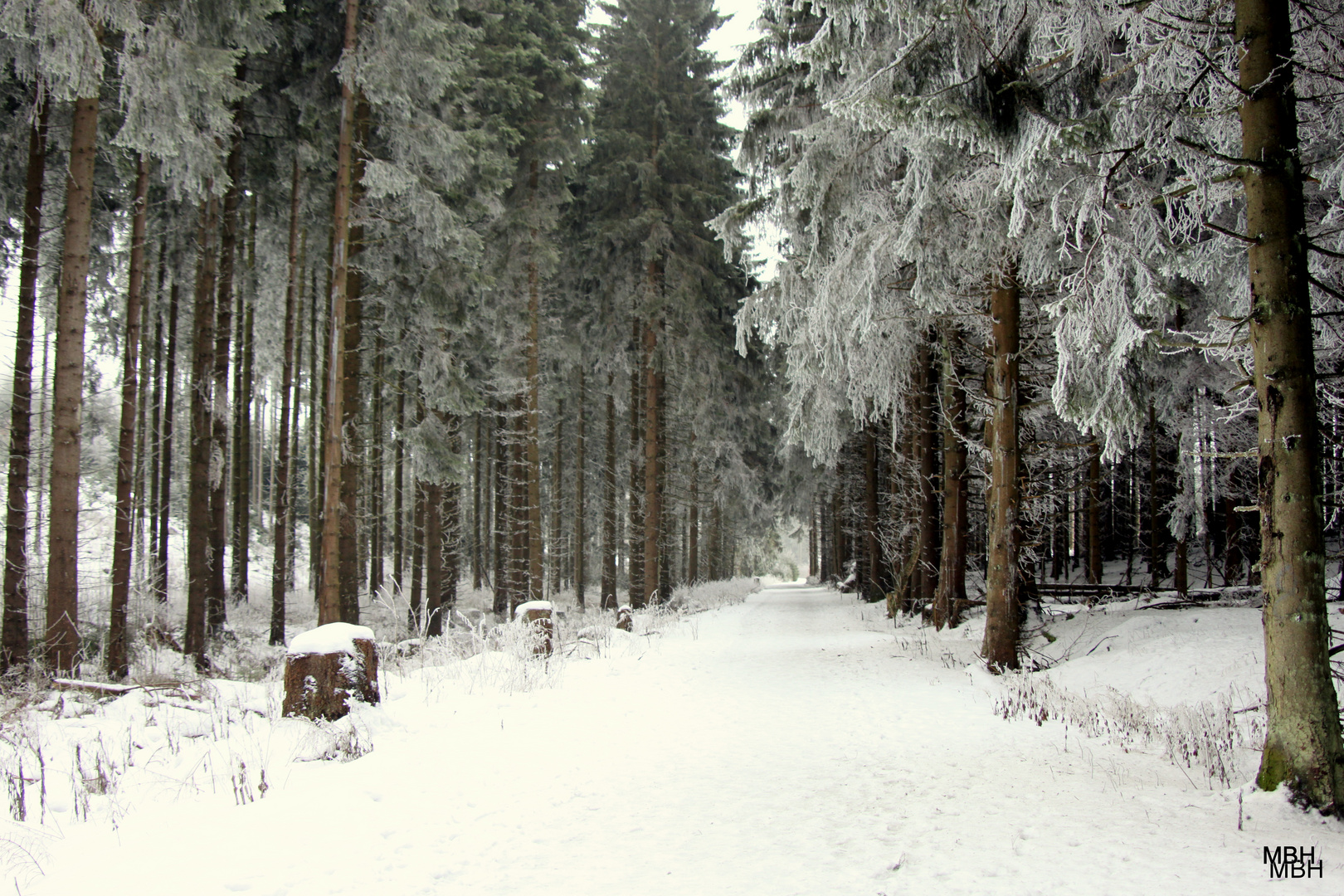 Winterweg