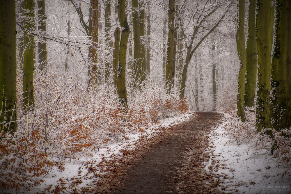 Winterweg