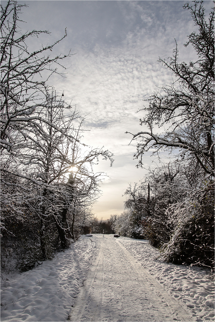 Winterweg 1