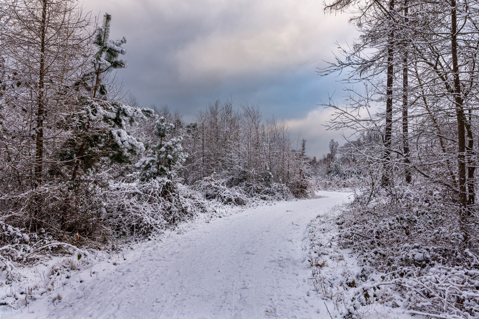 Winterweg