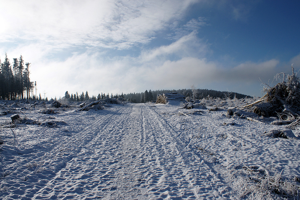 Winterweg…….